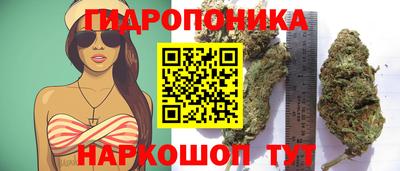 соль ск Камень-на-Оби
