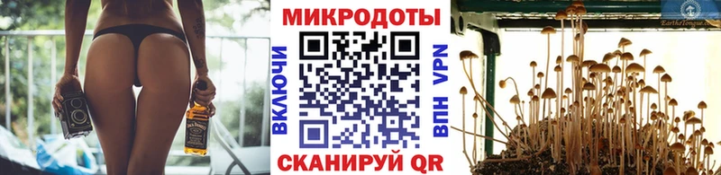 Псилоцибиновые грибы MAGIC MUSHROOMS  купить   Шали 