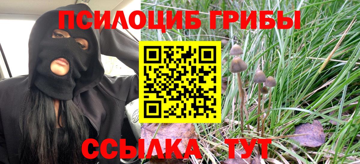 Галлюциногенные грибы Psilocybe Шали